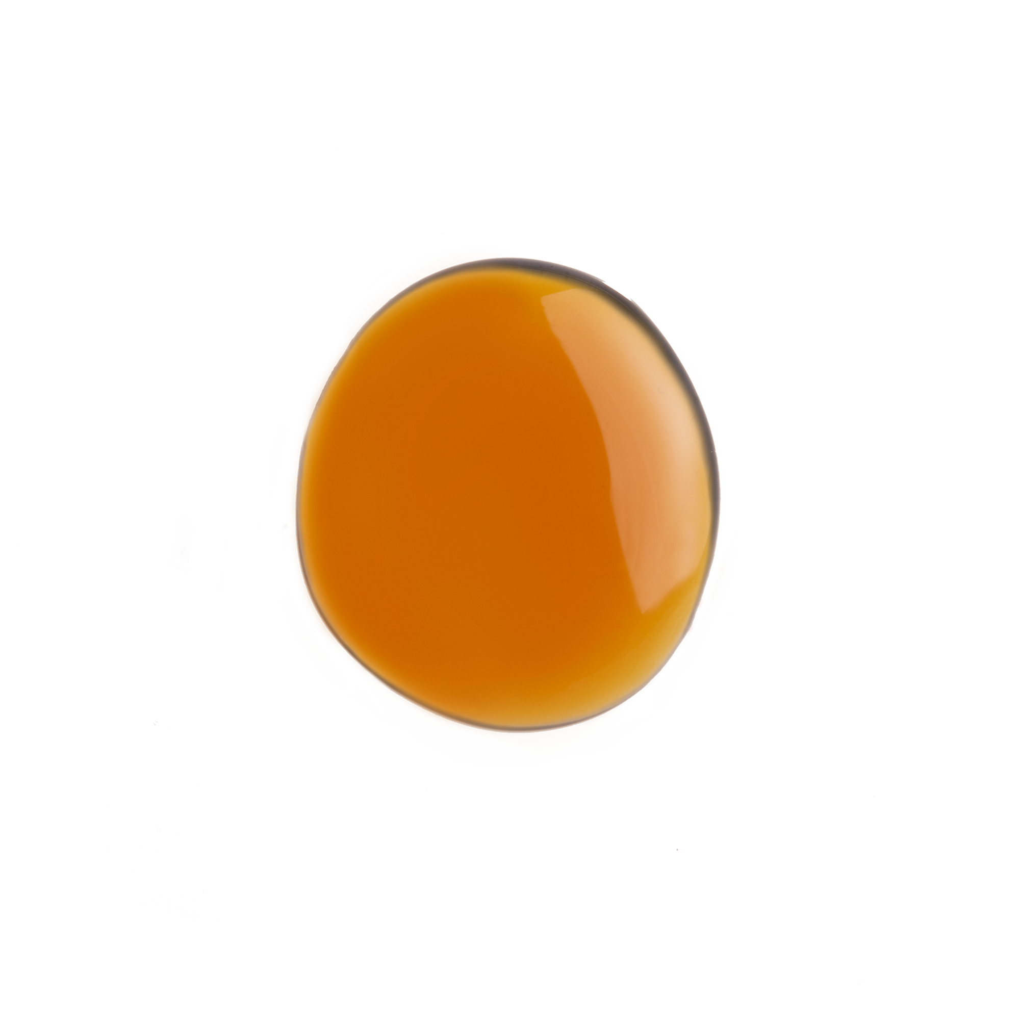 camellia sinensis leaf extract
